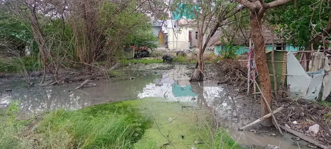 அக்கிரமிப்புகளை அகற்ற வேண்டும்