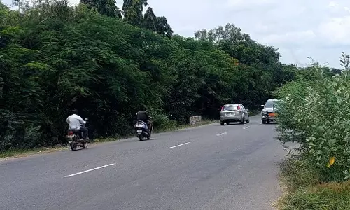 சாலையோர செடி, கொடிகளை அகற்ற வேண்டும்