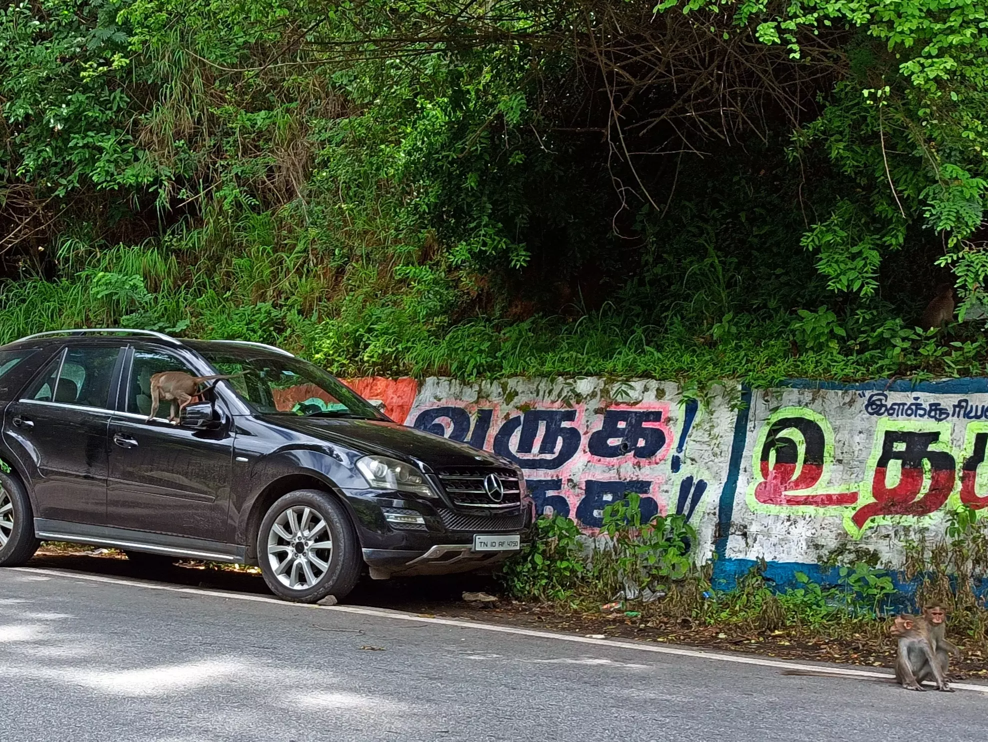 வனவிலங்குகள் பாதிக்கப்படும் அபாயம்