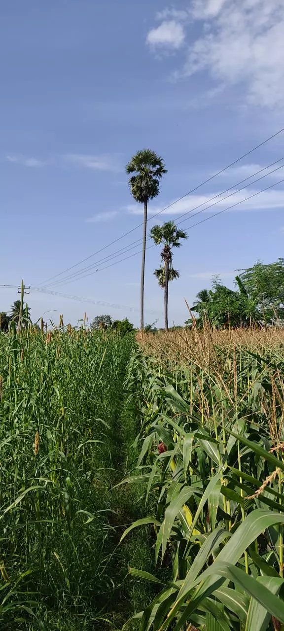 புகார் பெட்டி எதிரொலி