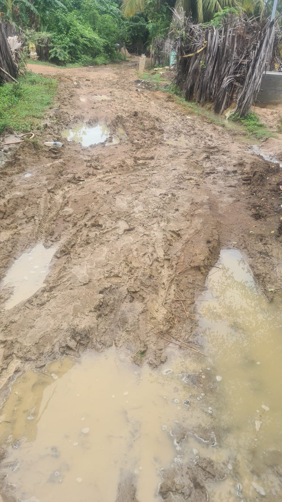 சேரும், சகதியமான சாலை