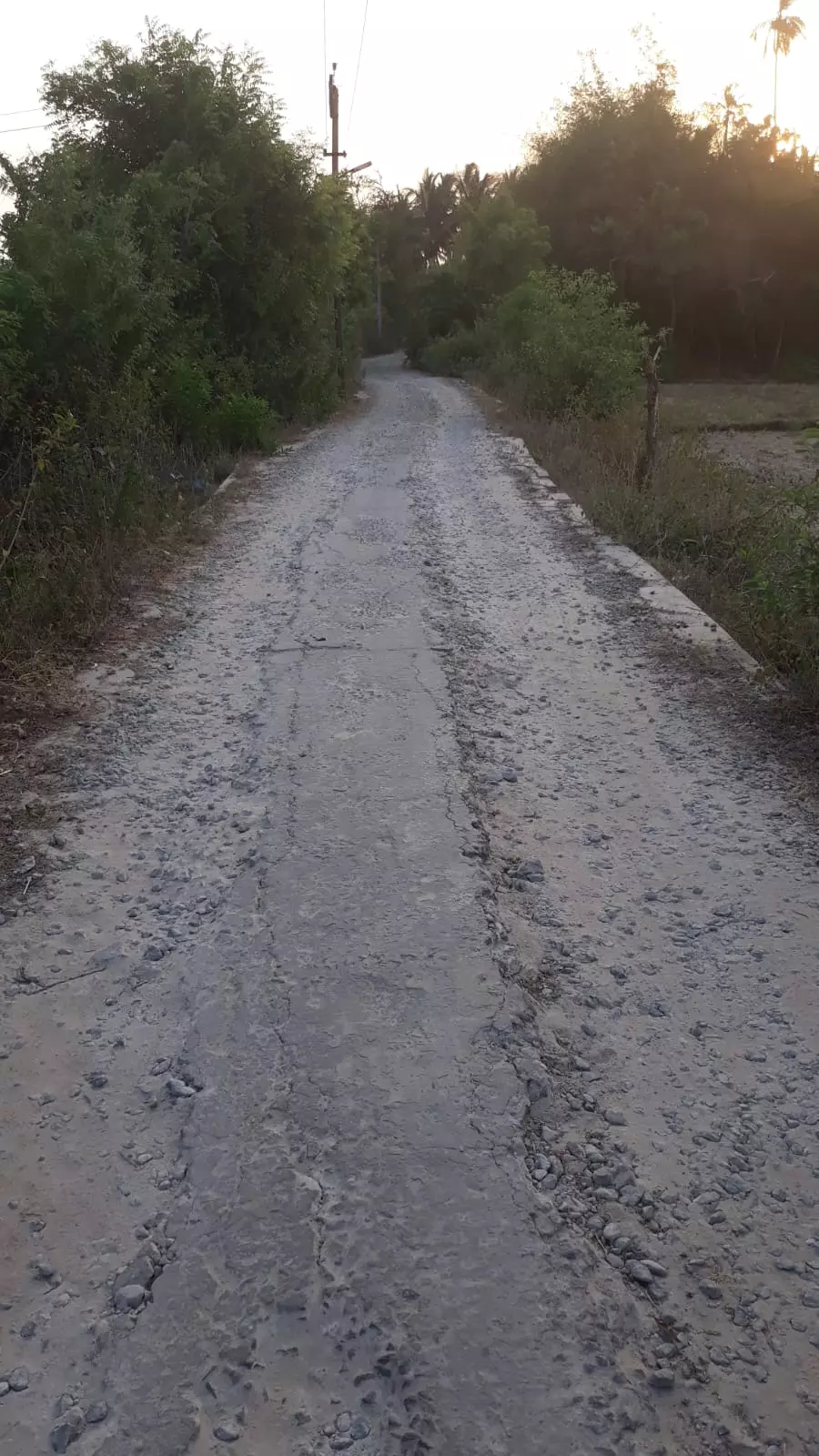 சாலை சீரமைக்கப்படுமா? சாலை சீரமைக்கப்படுமா?