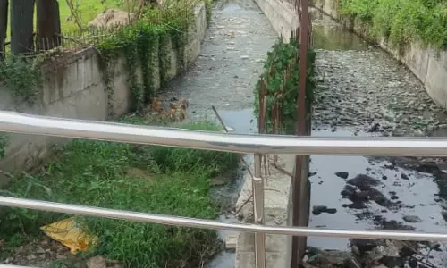 கால்வாய் தூர்வாரப்படுமா ?