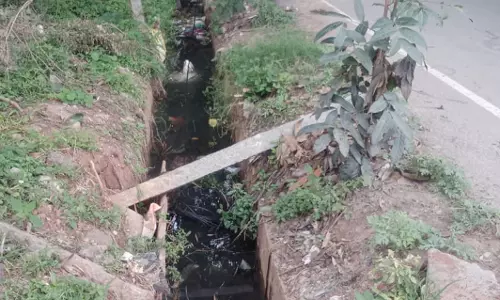 கழிவுநீர் வடிகால் தூர்வாரப்படுமா? கழிவுநீர் வடிகால் தூர்வாரப்படுமா?