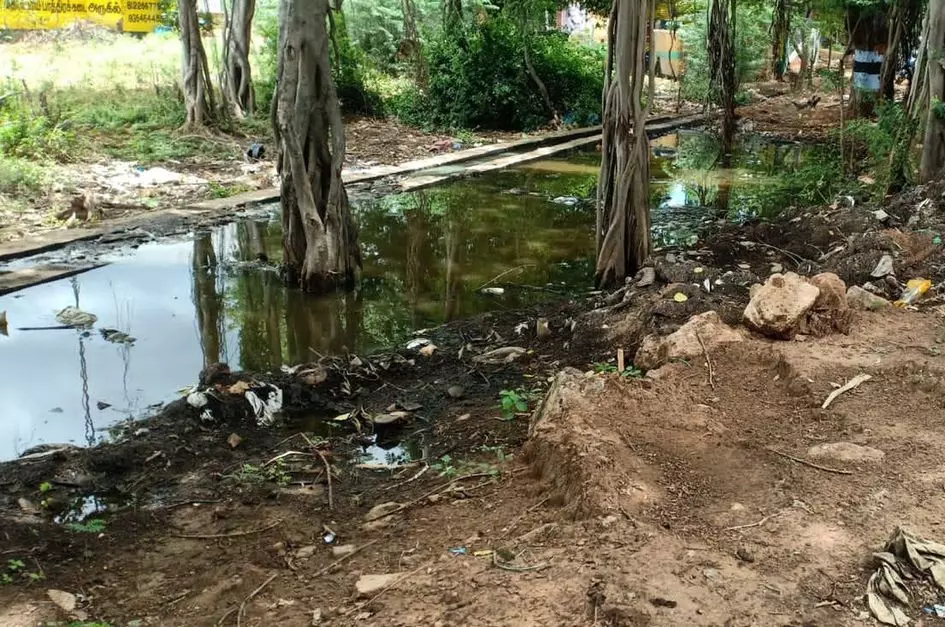 சாலையோரத்தில் தேங்கும் கழிவுநீர் சாலையோரத்தில் தேங்கும் கழிவுநீர்