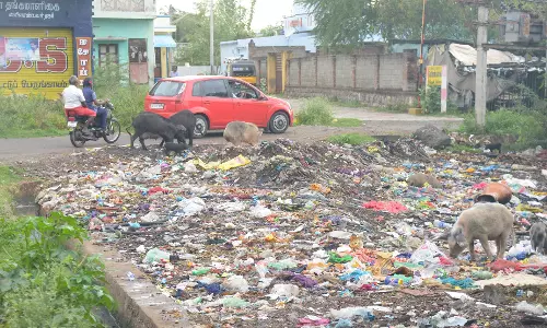குப்பைகளால் துர்நாற்றம் குப்பைகளால் துர்நாற்றம்