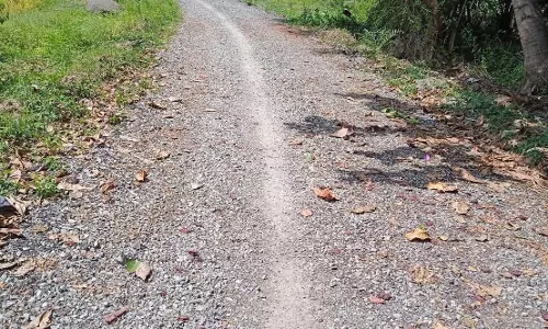 கிடப்பில் போடப்பட்ட சாலை பணி