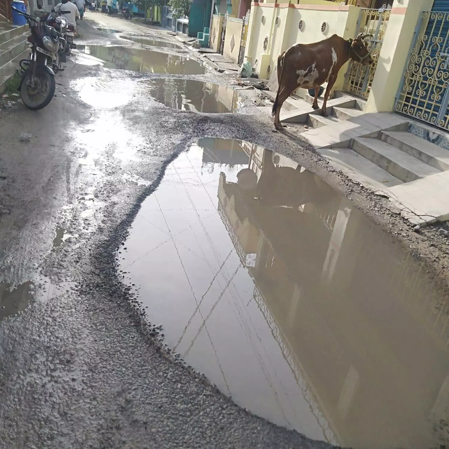 சாலையில் தேங்கிய மழைநீர்