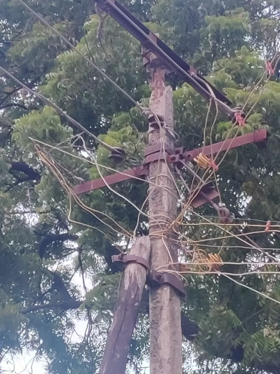 சேதமடைந்த மின்கம்பம்