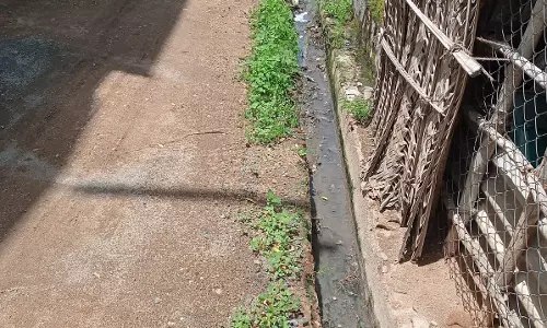 தூர்வாரப்படாத கழிவுநீர் வாய்க்கால் தூர்வாரப்படாத கழிவுநீர் வாய்க்கால்