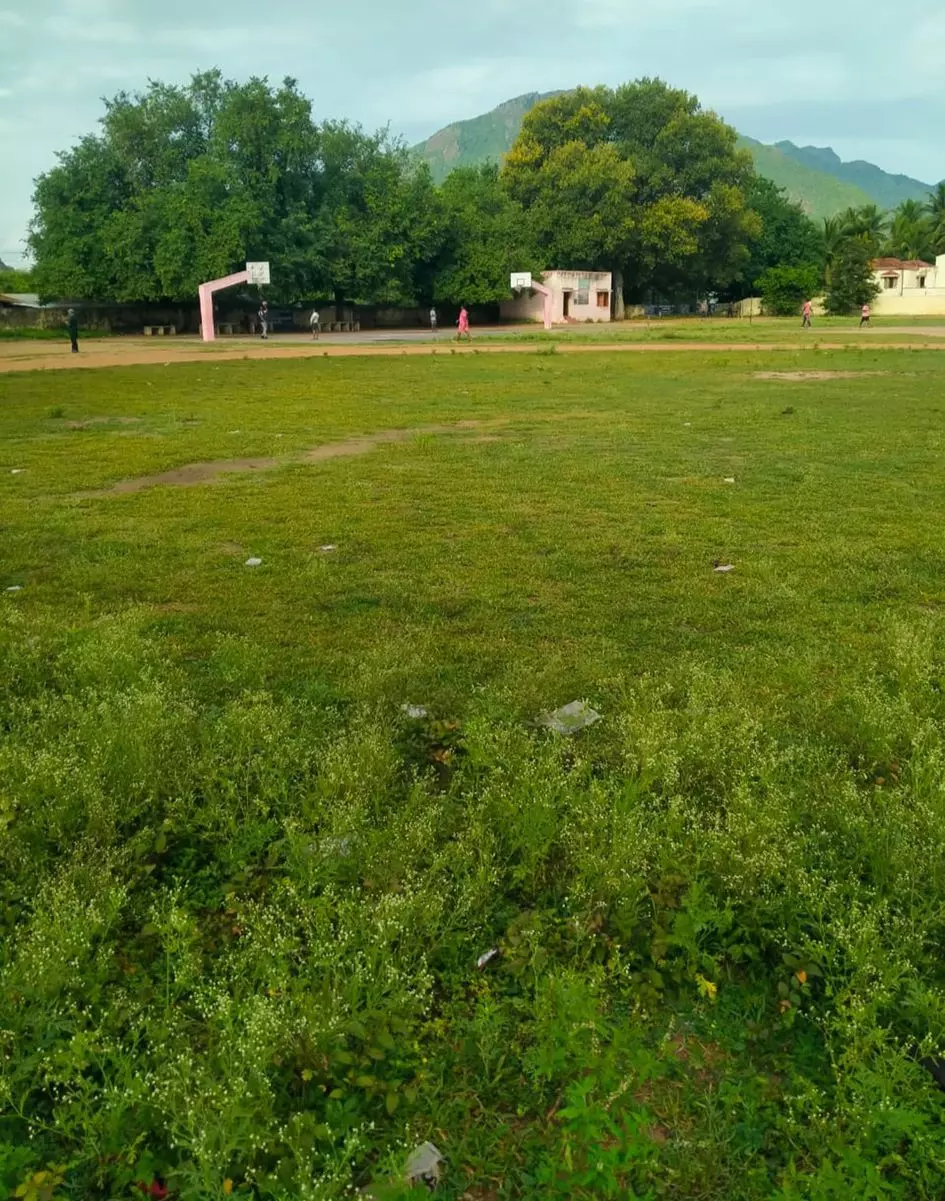 மைதானத்தில் செடிகள் ஆக்கிரமிப்பு