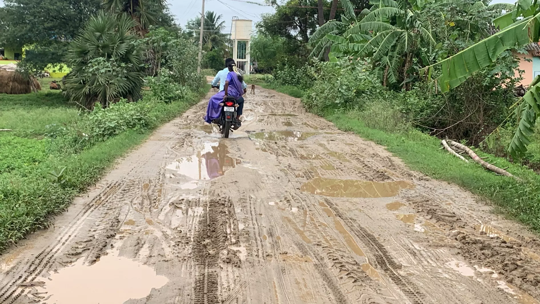 சேறும், சகதியுமான சாலை