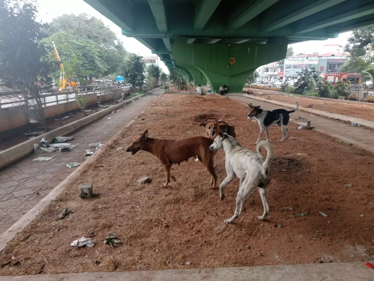 பராமரிக்கப்படாத பூங்கா