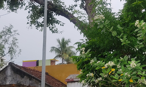 உயர்கோபுர மின் விளக்கு எரியவில்லை உயர்கோபுர மின் விளக்கு எரியவில்லை
