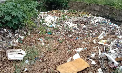 ஓடையில் குப்பை