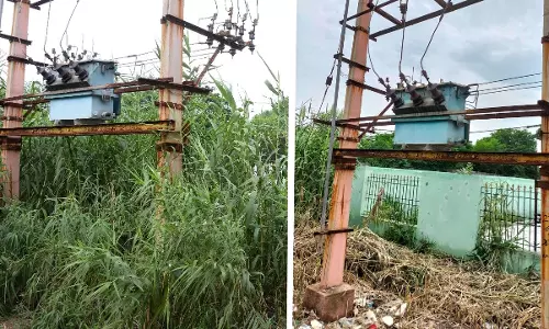 தினத்தந்திக்கு நன்றி