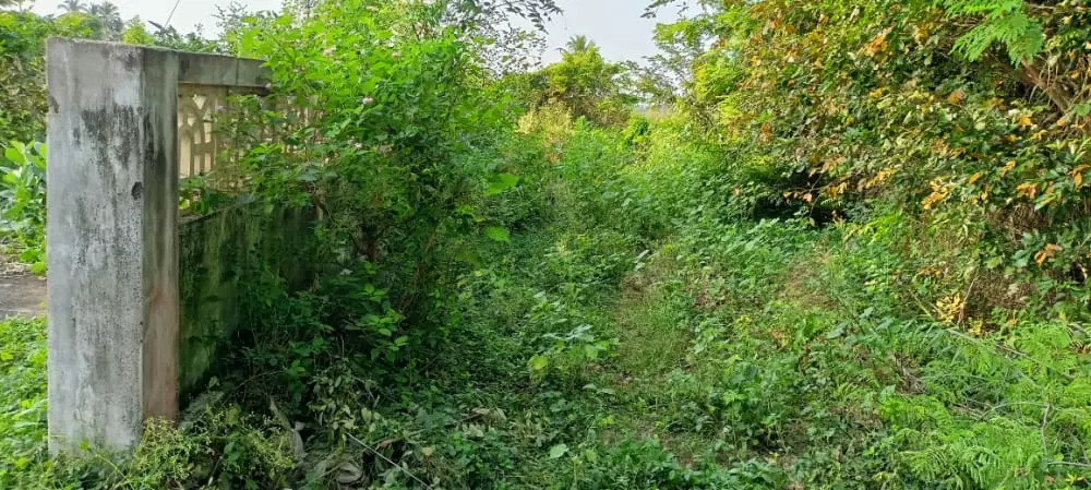 புதர்மண்டி காட்சியளிக்கும் மயானம்