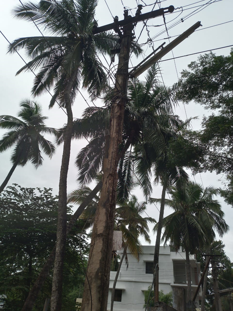 சேதமடைந்த மின்கம்பம் சேதமடைந்த மின்கம்பம்