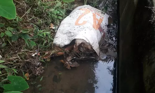 சுகாதார சீர்கேடு