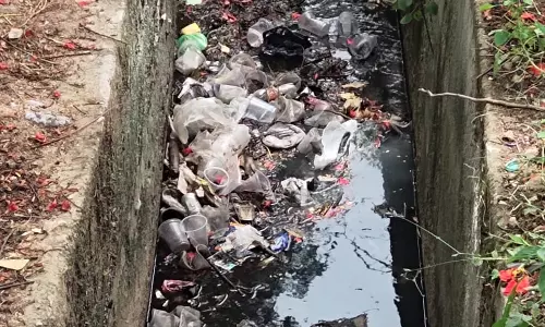 நோய் பரவும் அபாயம்