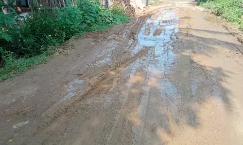 சாலை சீரமைக்கப்படுமா?