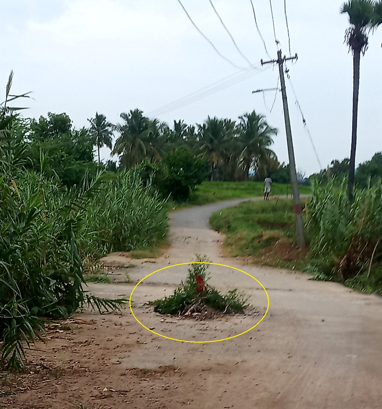 தரைப்பாலம் பழுது