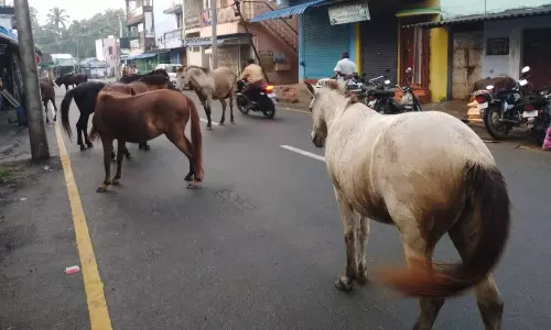 போக்குவரத்துக்கு இடையூறு