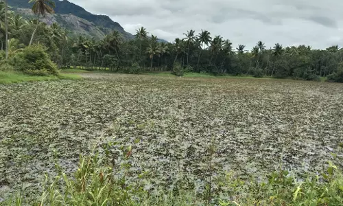 குளத்தை தூர்வார வேண்டும்