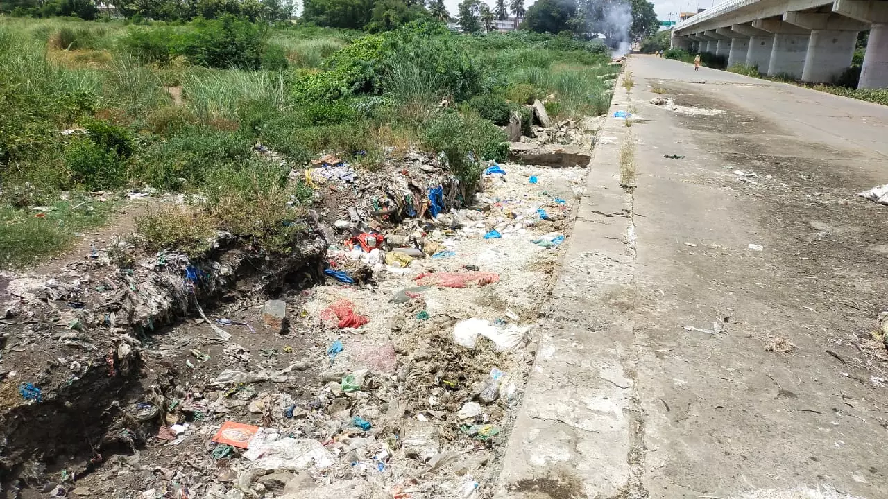 இறைச்சி கழிவுகளால் சுகாதார சீர்கேடு இறைச்சி கழிவுகளால் சுகாதார சீர்கேடு