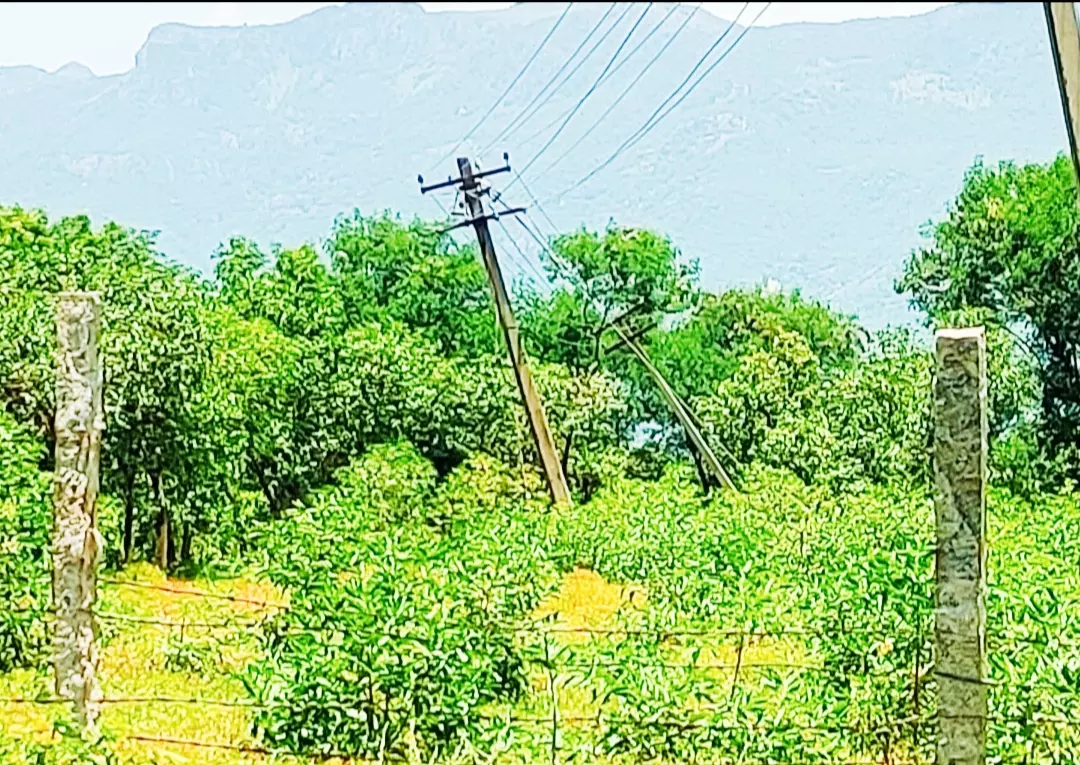 சாய்ந்த நிலையில் உள்ள மின்கம்பங்கள் சாய்ந்த நிலையில் உள்ள மின்கம்பங்கள்