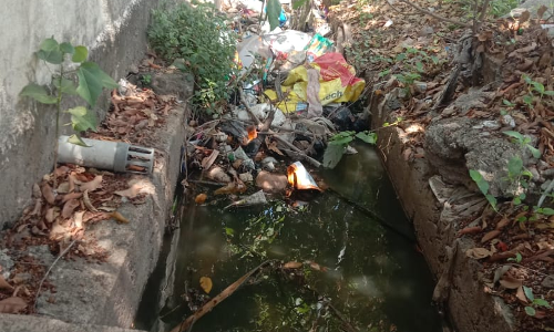 குப்பைகள் அகற்றப்படுமா ? குப்பைகள் அகற்றப்படுமா ?