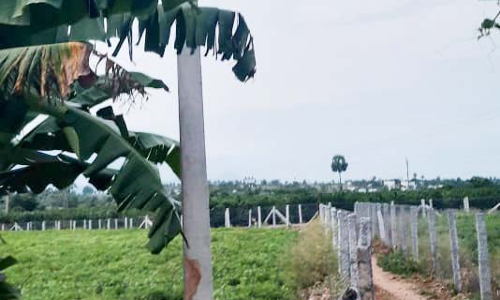 புதிய மின்கம்பம் அமைக்கப்பட்டது