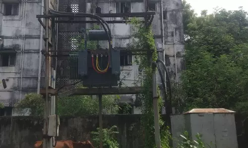 புதர் மண்டிய டிரான்ஸ்பார்மர்