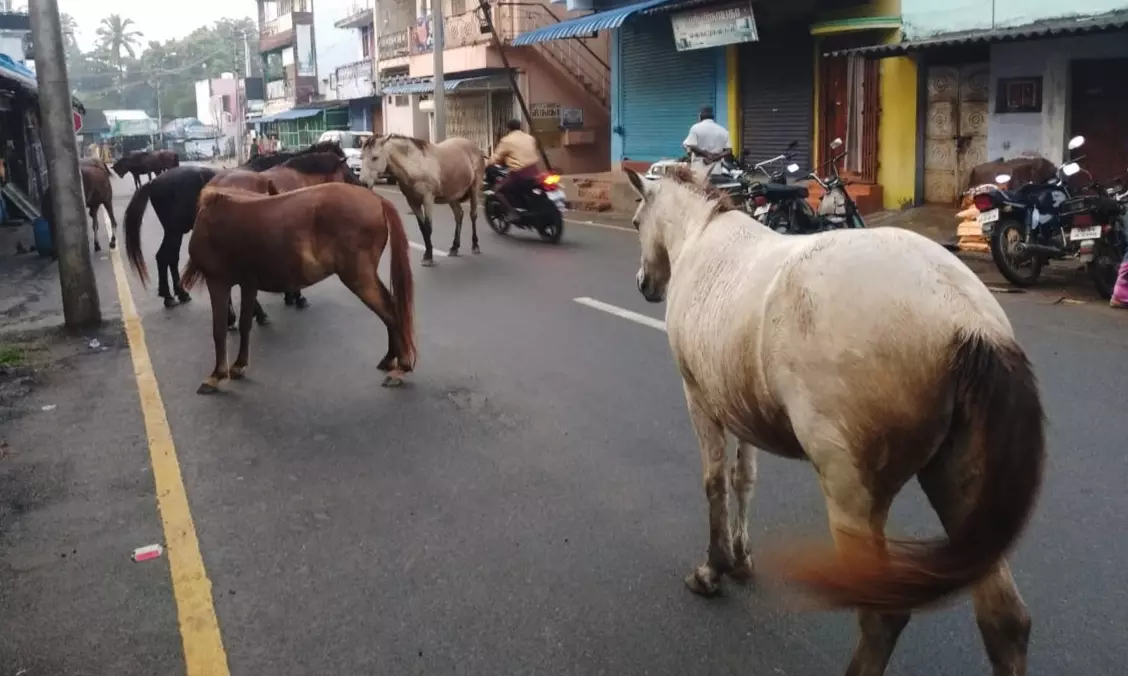 போக்குவரத்துக்கு இடையூறு