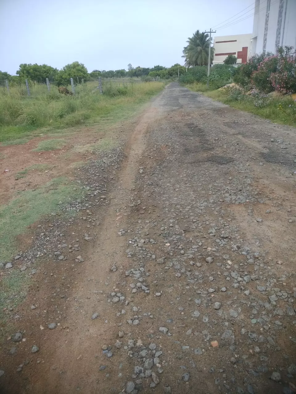 ஜல்லி கற்கள் பெயர்ந்து கிடக்கும் சாலை