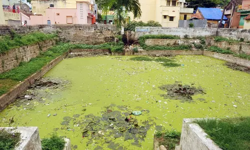 அசுத்தமாக காட்சி அளிக்கும் குளம்