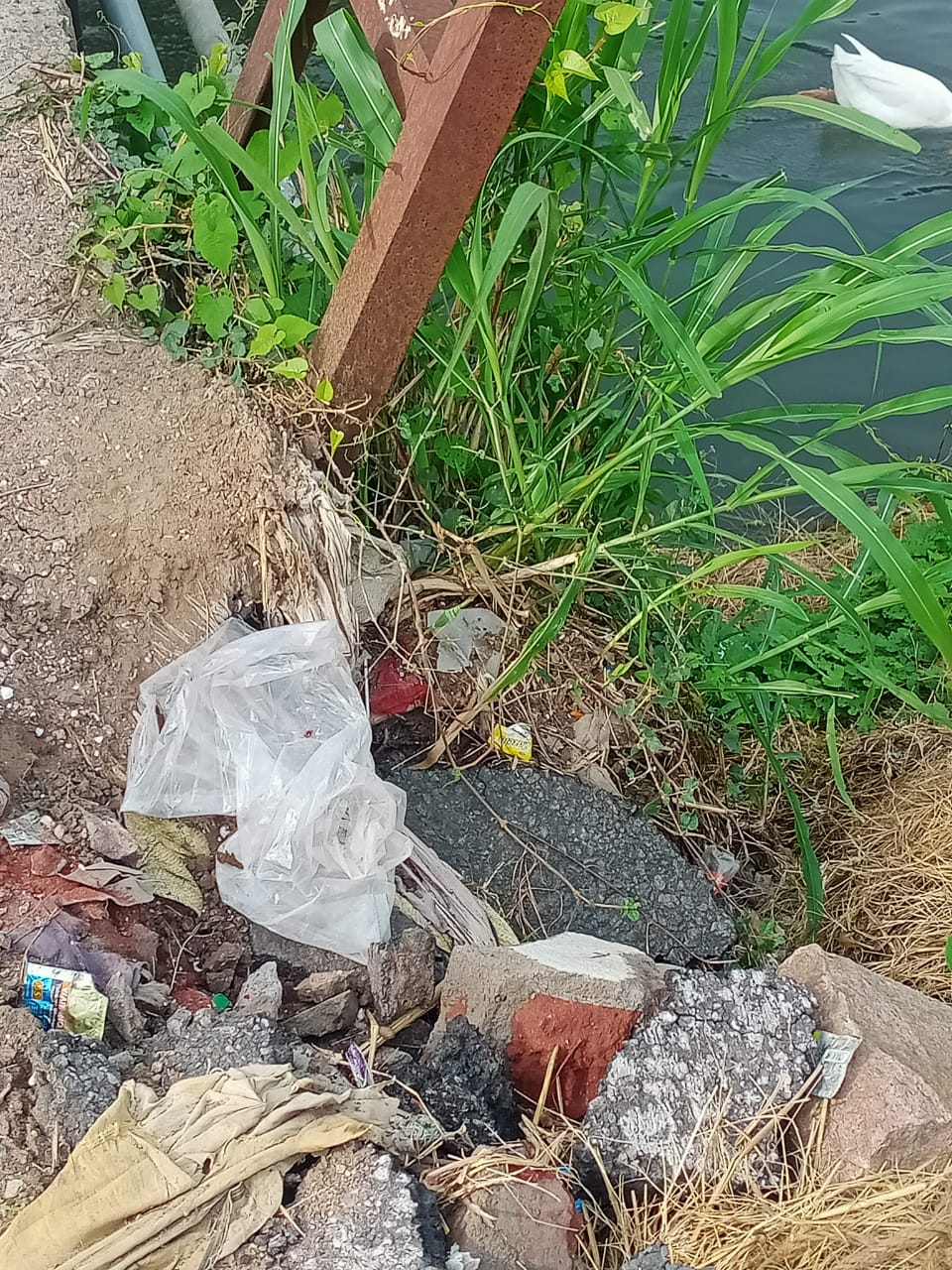 சிதிலமடைந்த வாய்க்கால் பாலம்