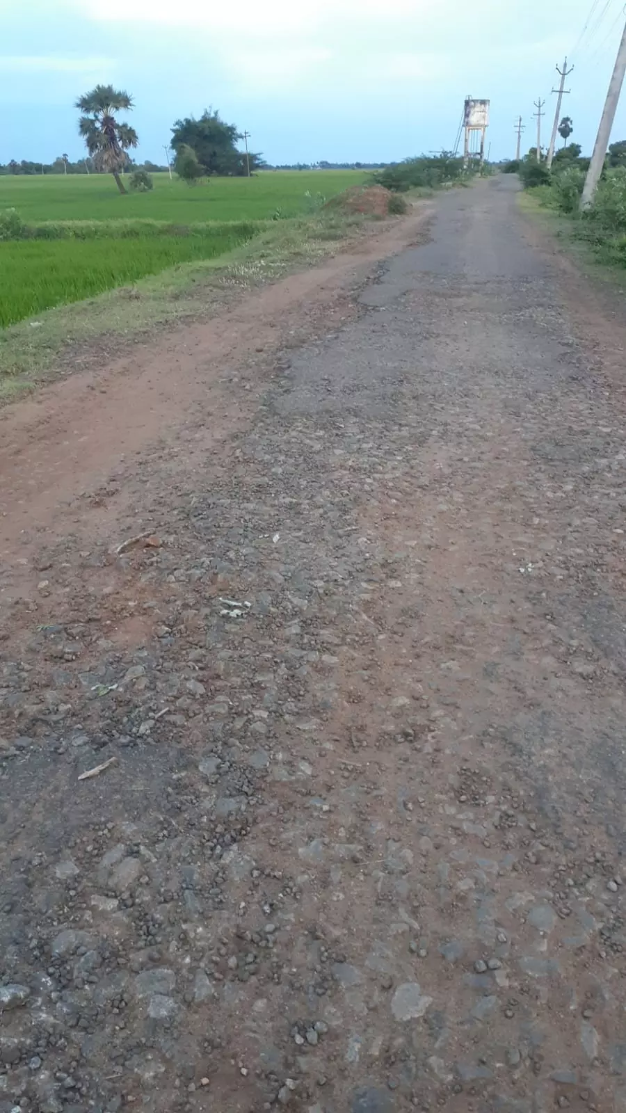 சாலை சீரமைக்கப்படுமா?