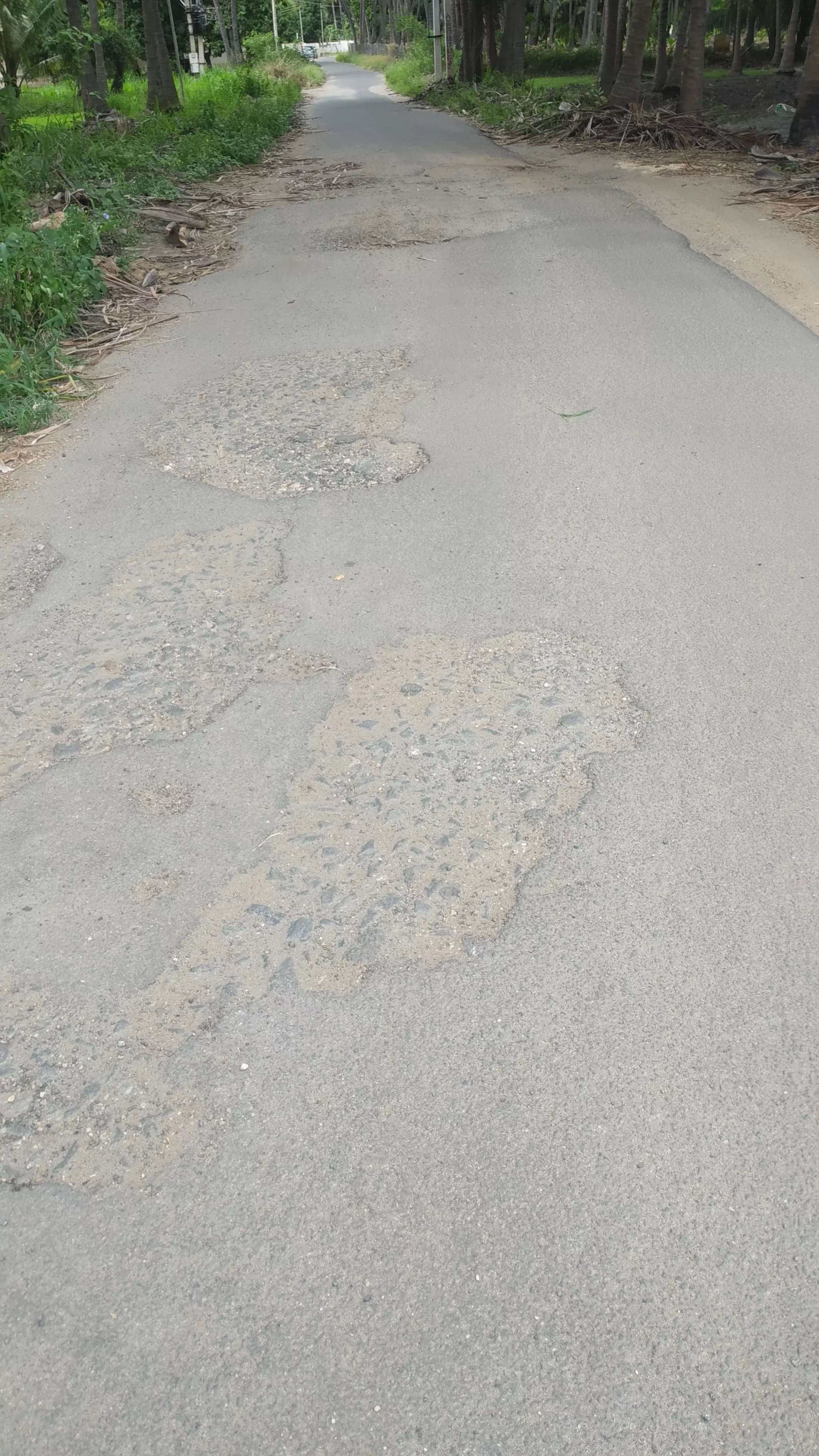 குண்டும், குழியுமான தார்சாலை குண்டும், குழியுமான தார்சாலை