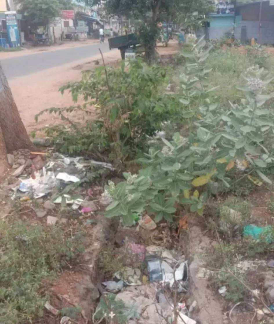 புதர்மண்டி கிடக்கும் சாக்கடை கால்வாய்