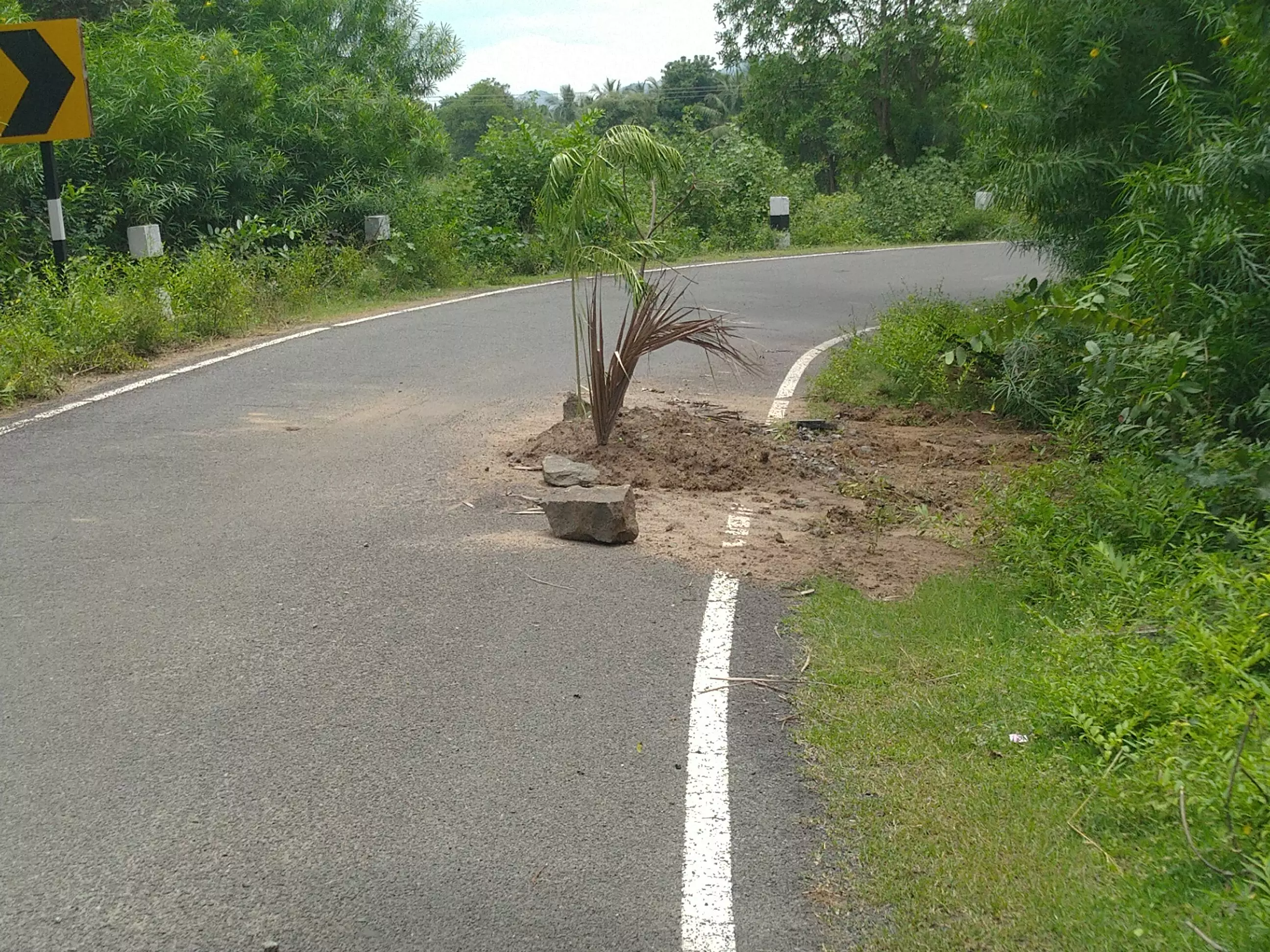 சாலையில் ஏற்பட்ட குழியால் விபத்து