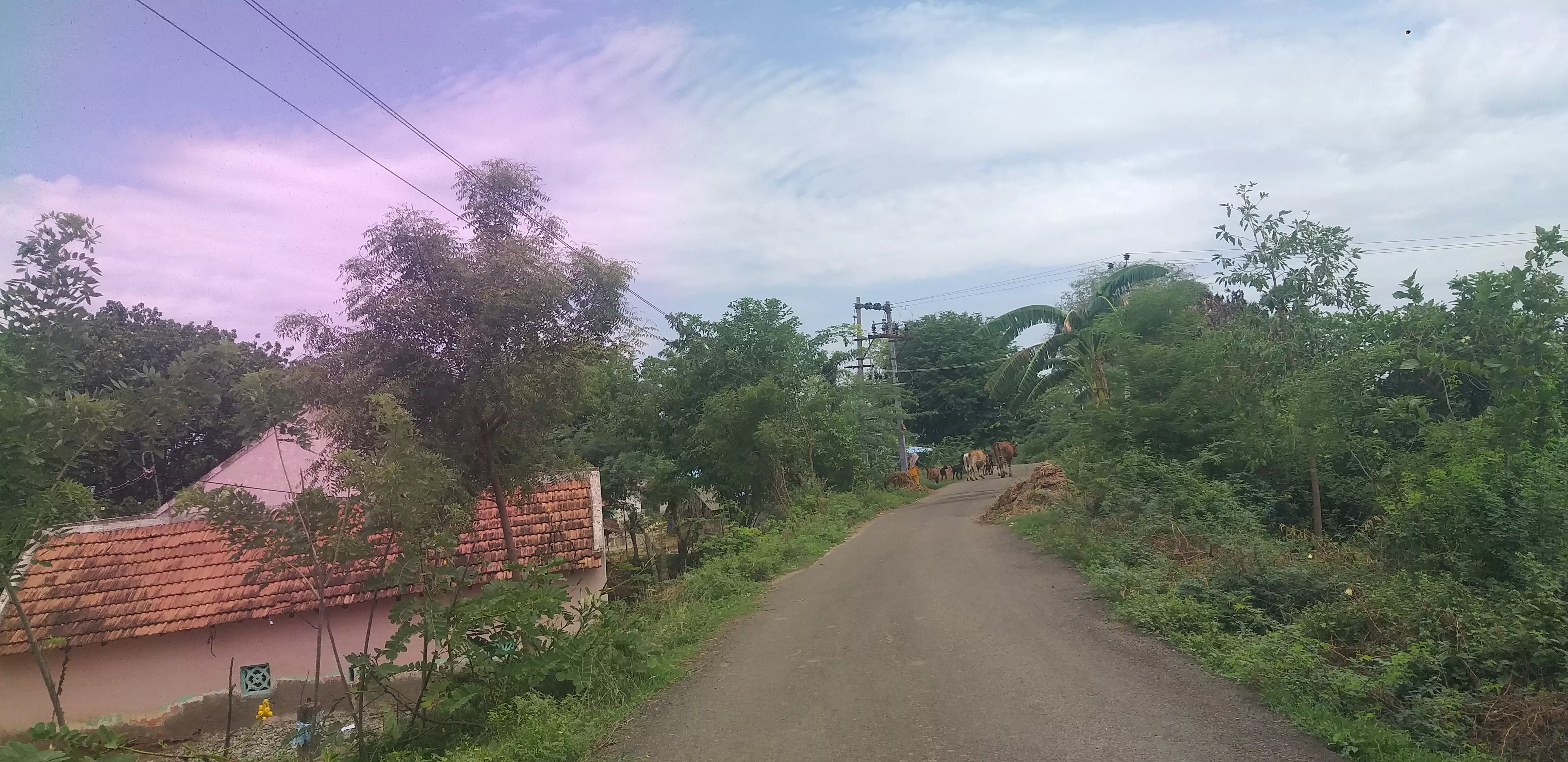 தாழ்வாக செல்லும் மின்கம்பிகள் தாழ்வாக செல்லும் மின்கம்பிகள்