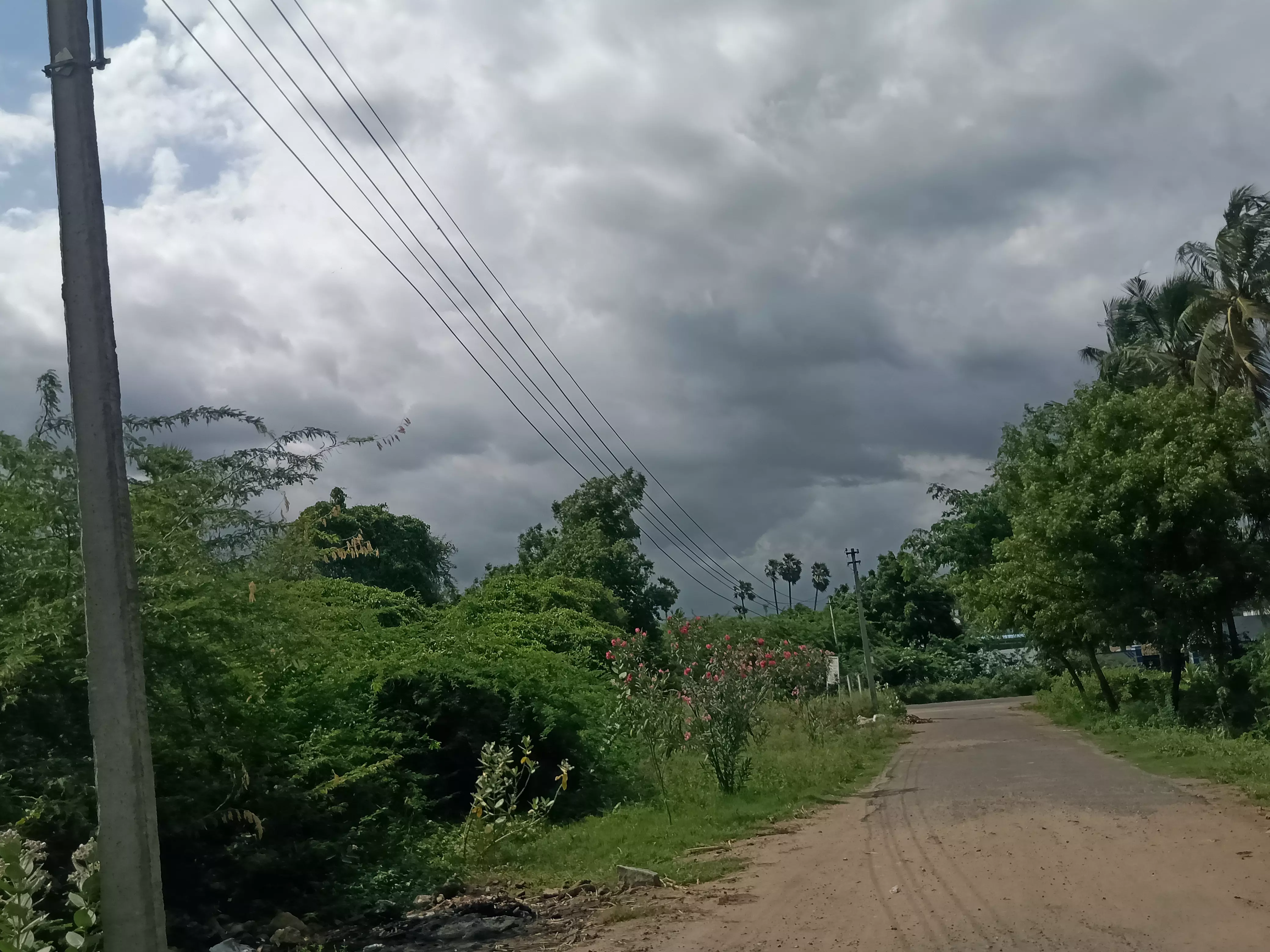 தாழ்வாக செல்லும் மின்கம்பிகள் தாழ்வாக செல்லும் மின்கம்பிகள்