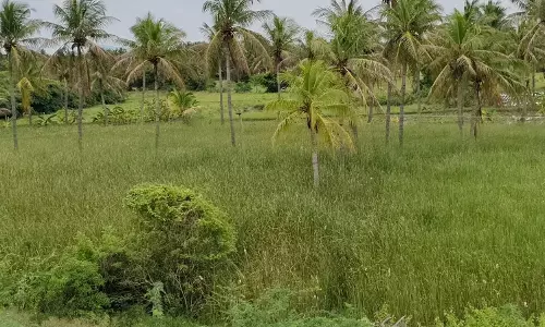 ஏரி பாசன கால்வாயை மீட்க வேண்டும்