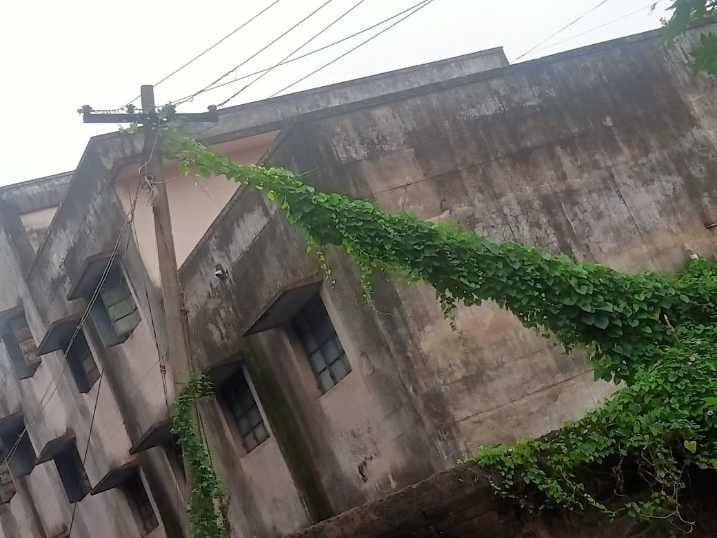 மின்கம்பத்தை ஆக்கிரமித்த கொடிகள் மின்கம்பத்தை ஆக்கிரமித்த கொடிகள்