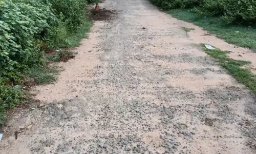 சேதமடைந்த சாலையை புதிதாக அமைப்பார்களா? சேதமடைந்த சாலையை புதிதாக அமைப்பார்களா?