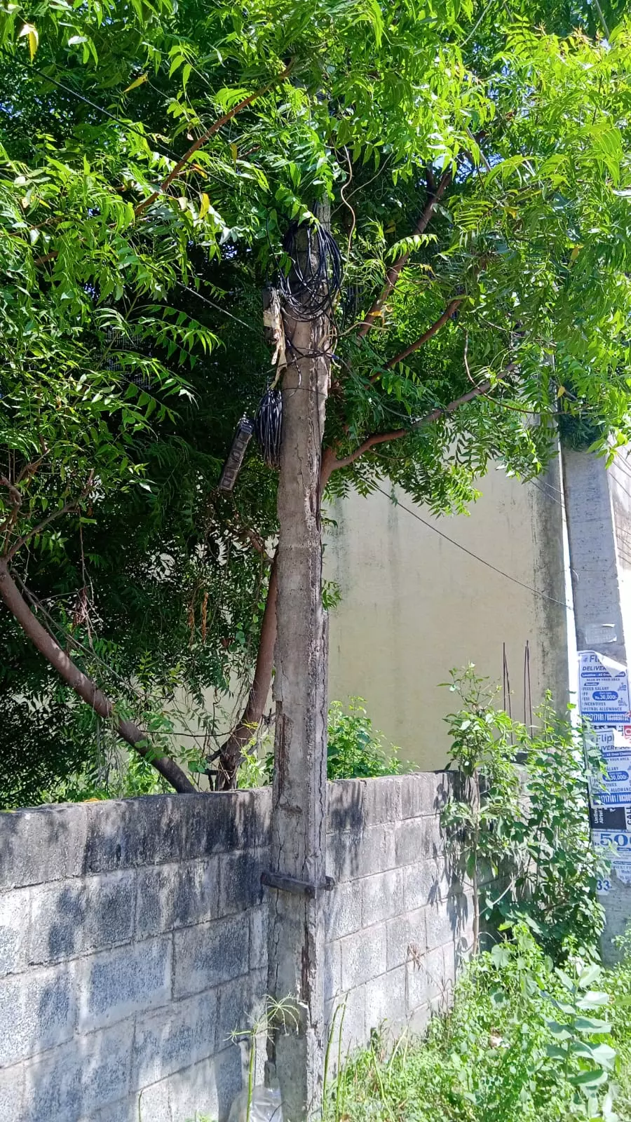 அபாயகரமான மின்கம்பம்