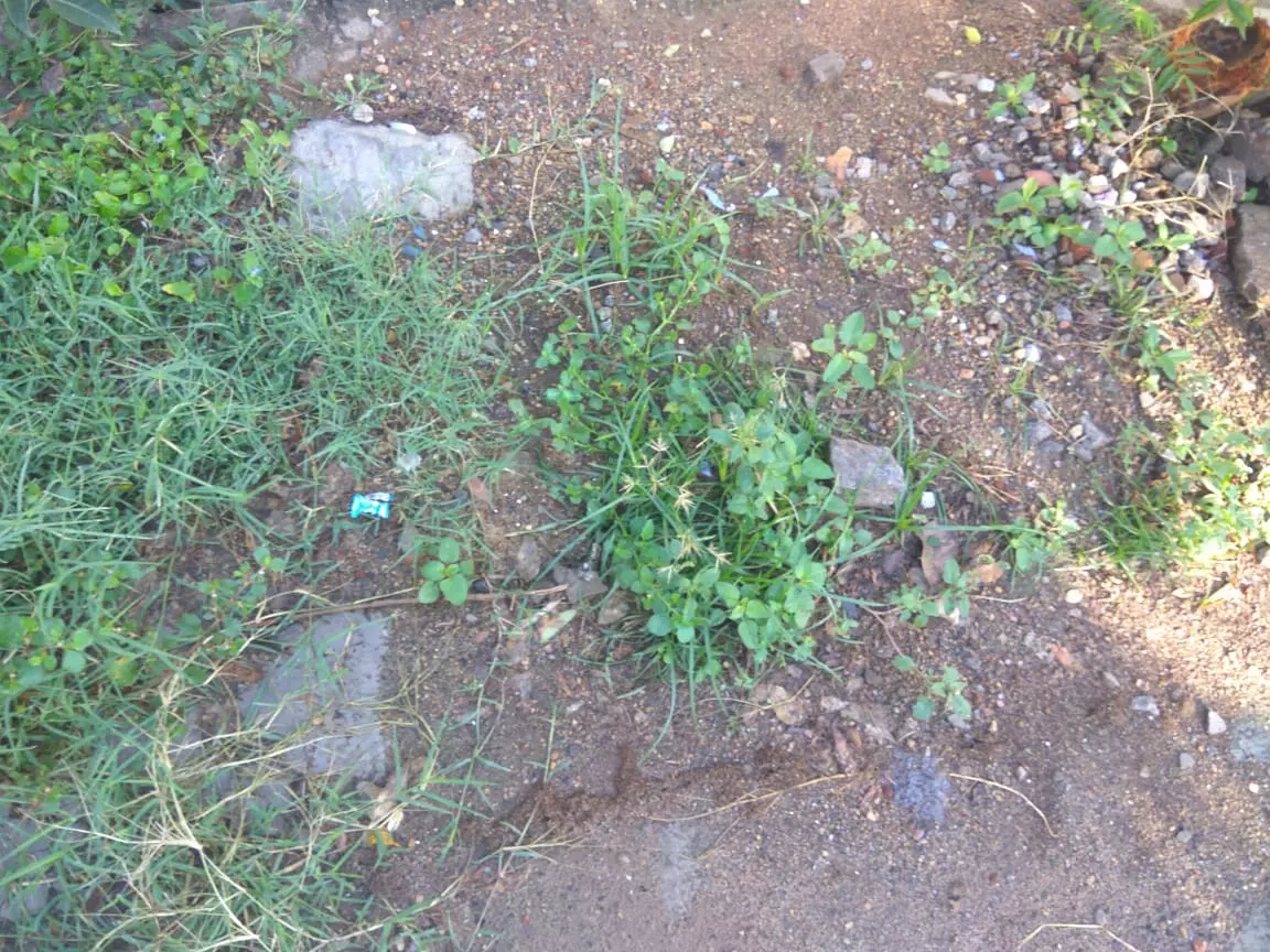 அடிக்கடி உடையும் குடிநீர் குழாய்