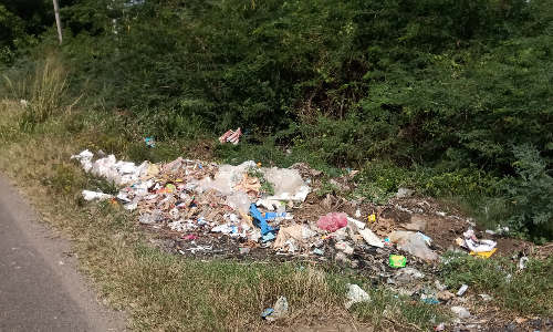 சாலையோரம் கொட்டப்படும் குப்பைகள் சாலையோரம் கொட்டப்படும் குப்பைகள்