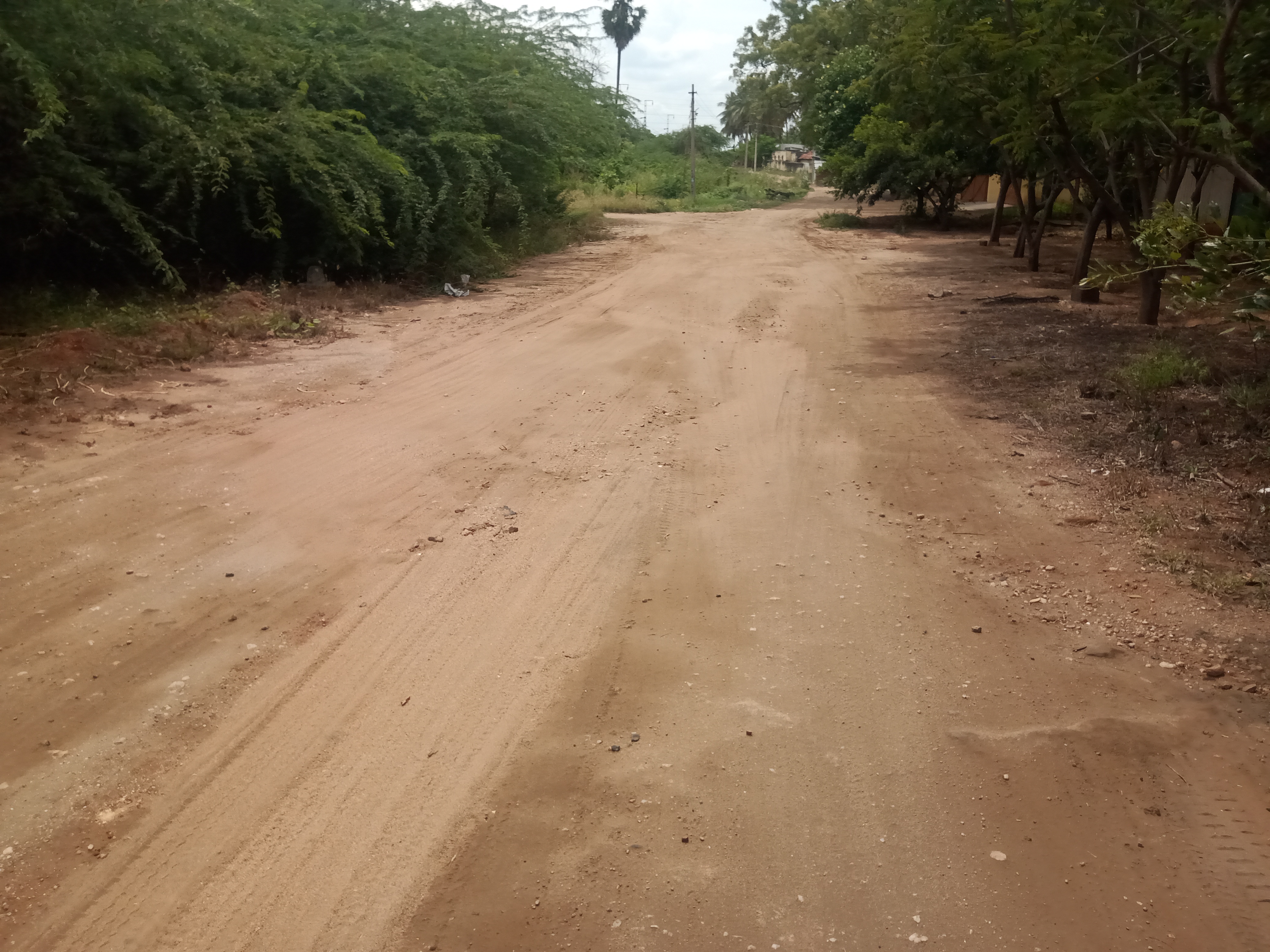 குண்டும், குழியுமான சாலை குண்டும், குழியுமான சாலை